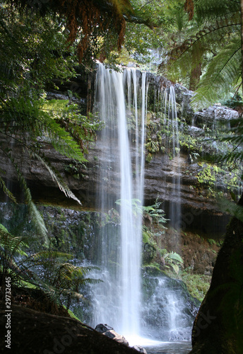 Russell Falls  Rain Forest Waterfall
