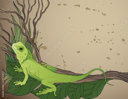 background with plants and green lizard