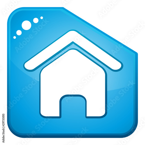 Blue home icon