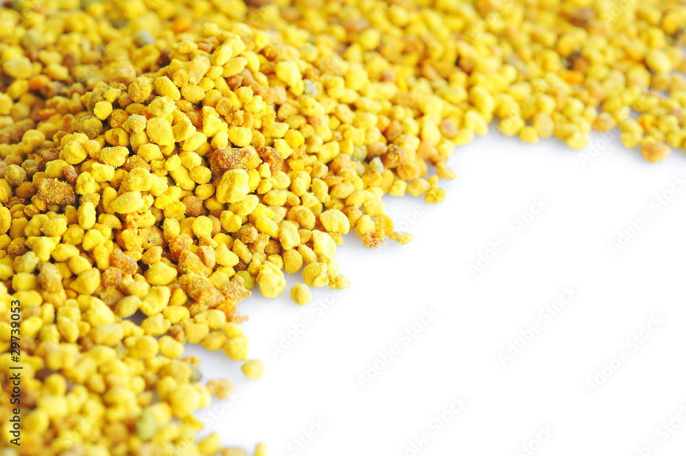 macro pollen macro pollen