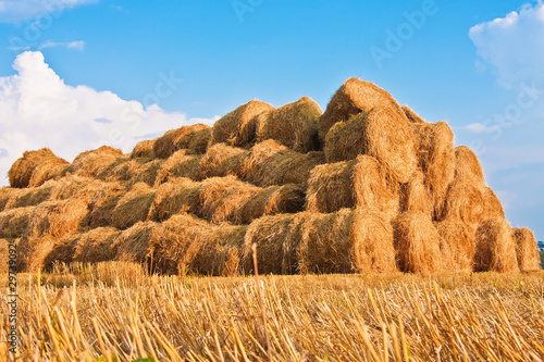 Big haystack at field