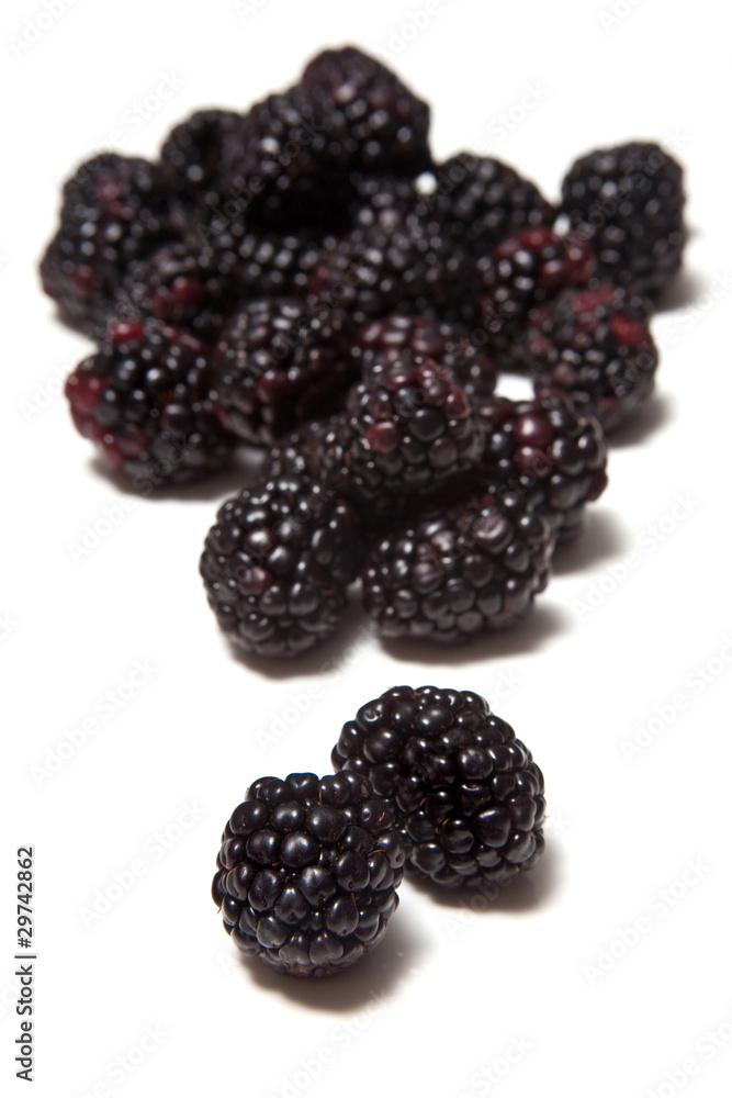 Blackberry 's on a white studio background. Blackberry 's on a white studio background.