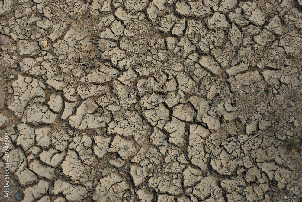 Desiccated ground Desiccated ground