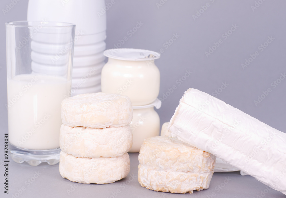 fromages de chèvre et brebis fromages de chèvre et brebis