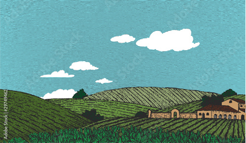 Tuscan Landscape Scene Color