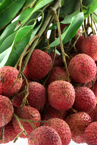 litchi, letchi, litchis, letchis, letchee, letchees, litchee photo