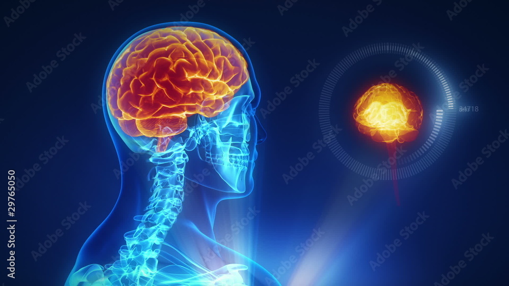 Human brain mri scan interface Human brain mri scan interface