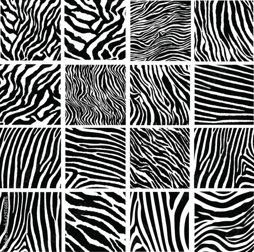 Collection of 16 vector skin zebra texture