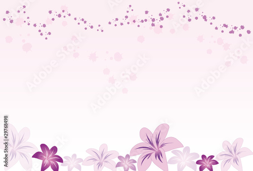 rosa blumen