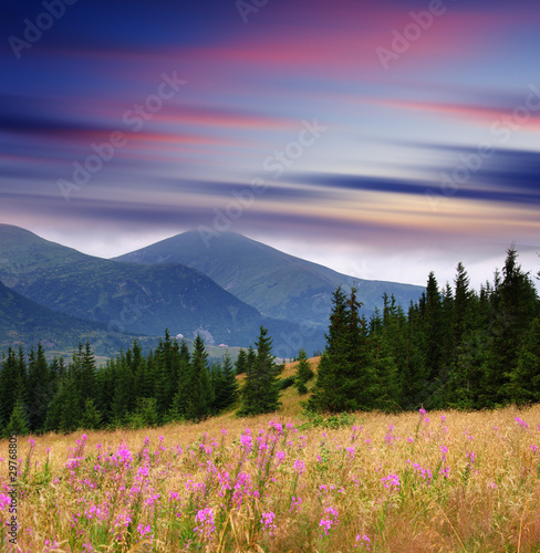 mountain landscape © Leonid Tit