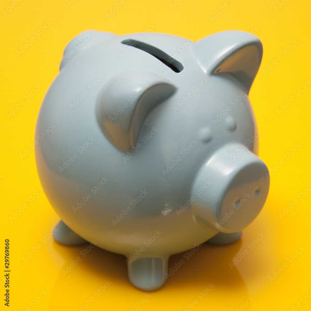piggy bank piggy bank