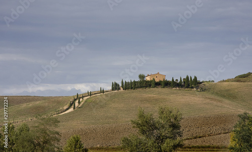 colline pisane - panorama