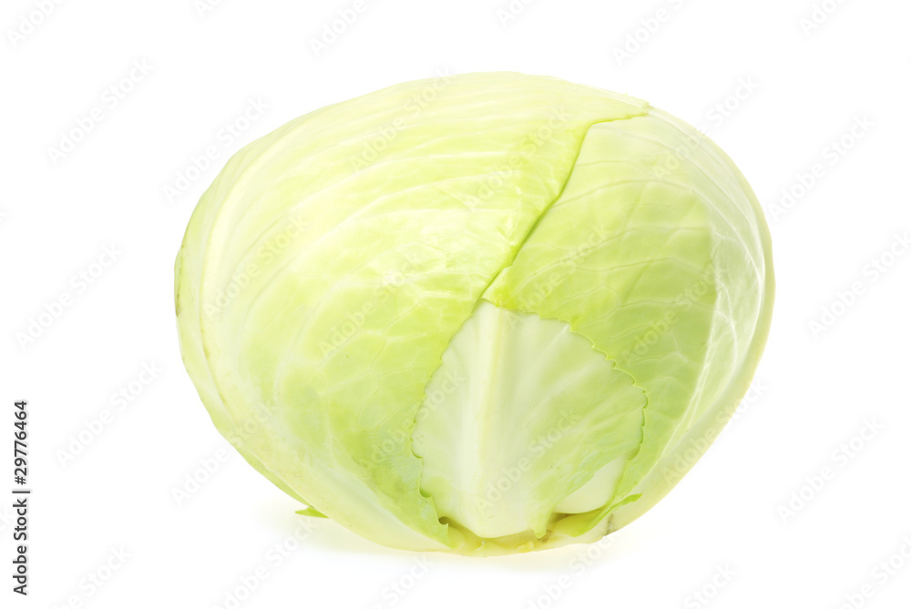 green cabbage green cabbage