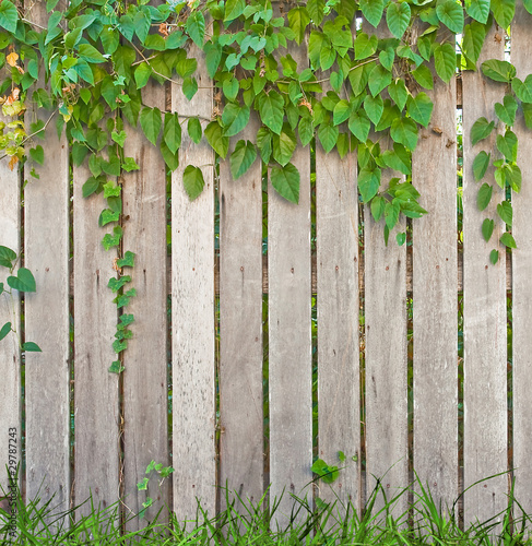 wooden fence © Win Nondakowit
