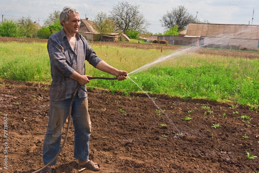 man watering a field man watering a field
