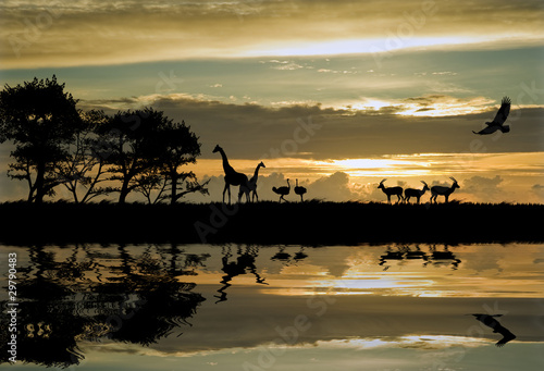 Beautiful African themed silhouette with stunning sunset sky