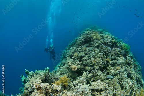 Fototapeta Naklejka Na Ścianę i Meble -  saddle of the blue hole ,Dahab, Egypt