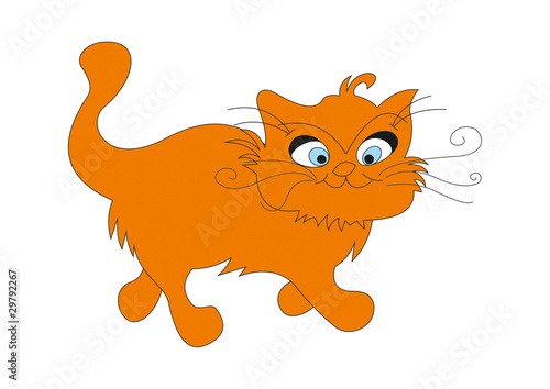cat