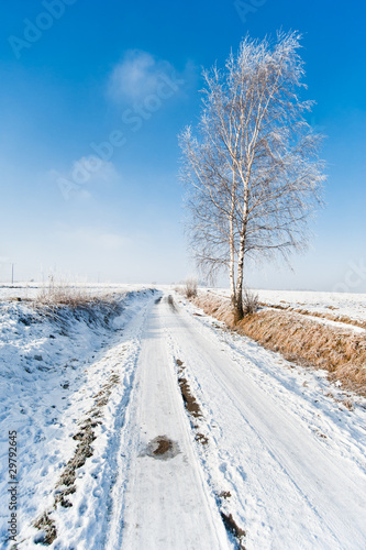 winter road and frozen tree landscape © thepiwko