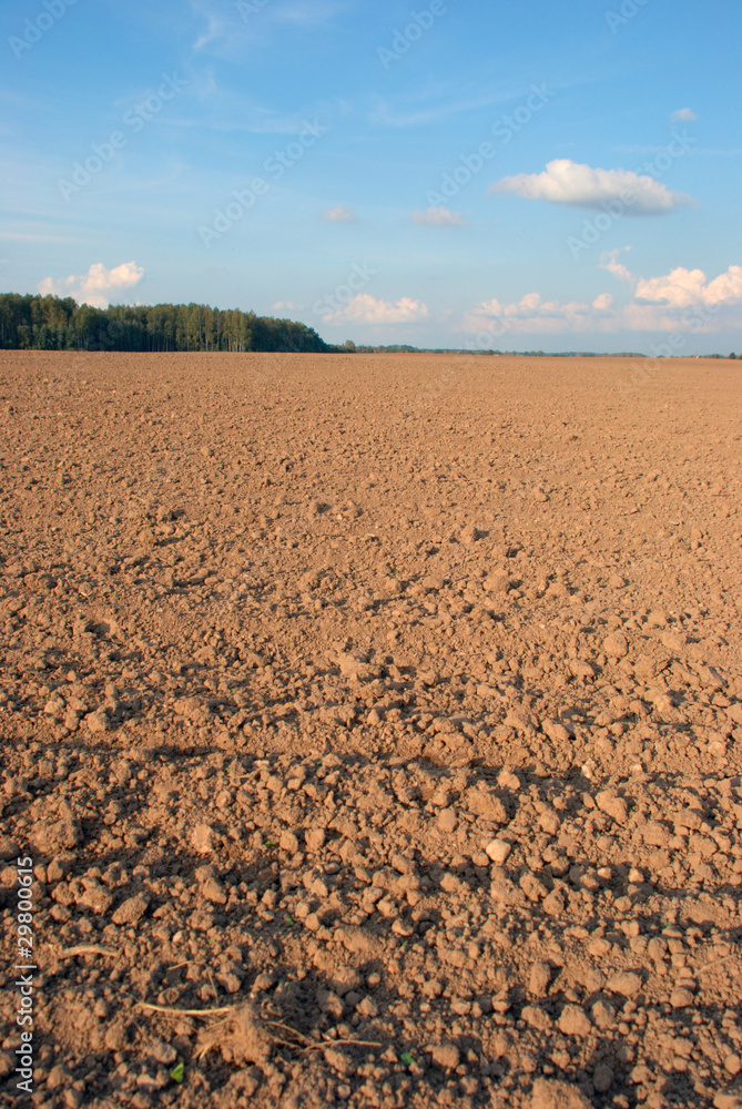 September arable land area with clouds on the forest horizon September arable land area with clouds on the forest horizon