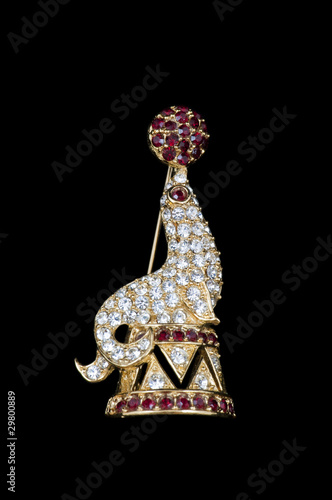 Obraz na płótnie sparkly vintage seal brooch w salonie