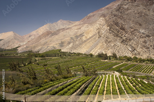 Elqui valley