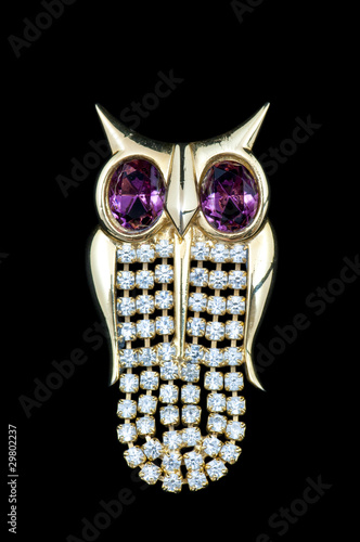 Obraz na płótnie vintage owl brooch w salonie