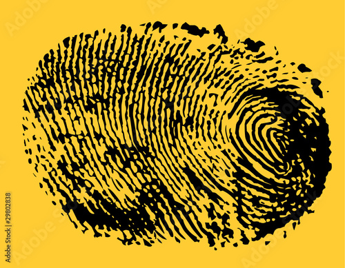 Thumb Print