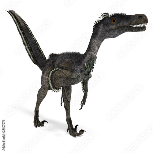 Dinosaur Velociraptor. 3D rendering with clipping path and © Ralf Kraft