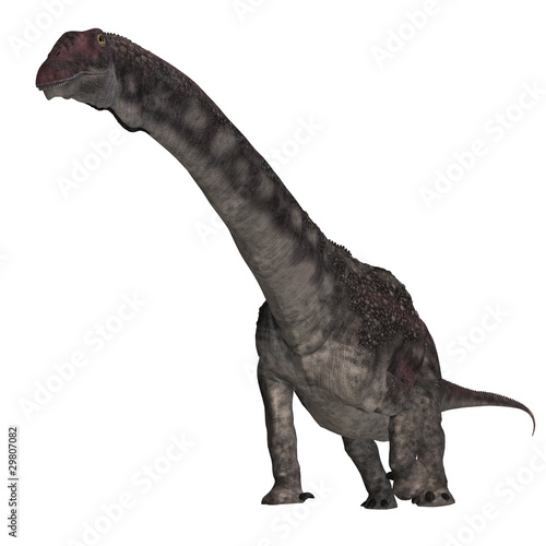 Dinosaur Diamantinasaurus. 3D rendering with clipping path and © Ralf Kraft