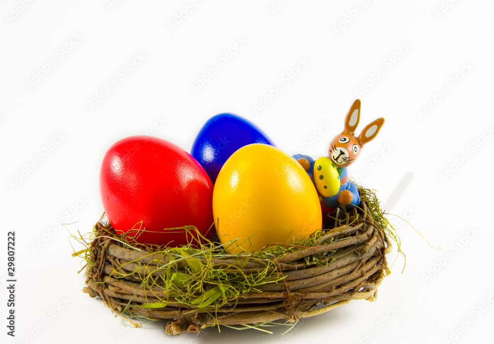 Fototapeta premium Osternest