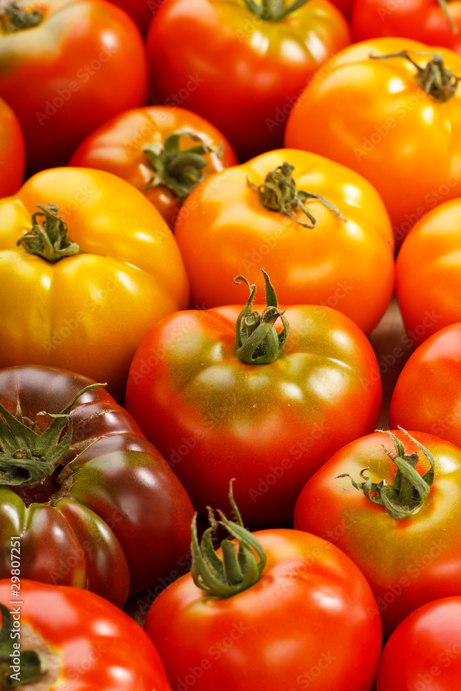 fresh tomatoes fresh tomatoes