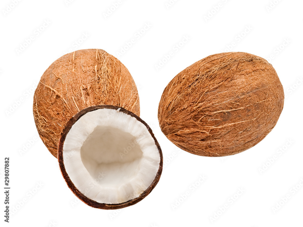 coconuts isolated on white background coconuts isolated on white background