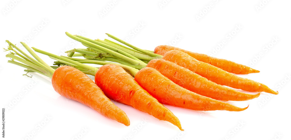 Carrots isolated on white Carrots isolated on white