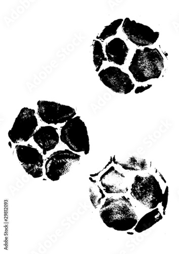 fussball vector