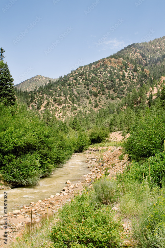 Stream Sangre De Cristo Mountains New Mexico USA Stream Sangre De Cristo Mountains New Mexico USA