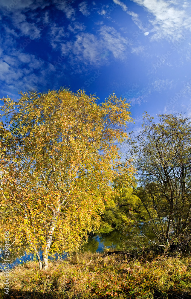 Naklejka premium Panoramic landscape of sunny autumn field with forest river