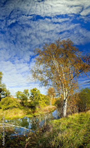 Panoramic landscape of sunny autumn field with forest river