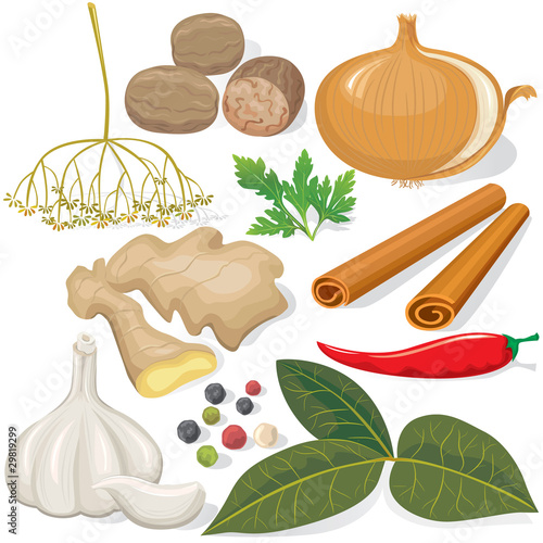 Spices and vegetables for cooking