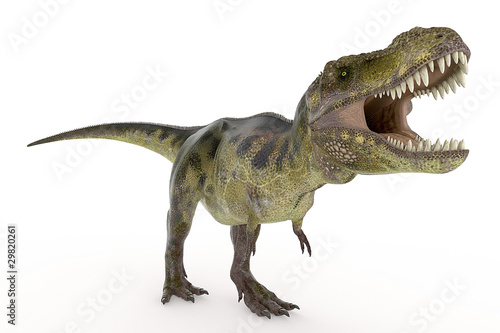 green tyrannosaurus is hungry © DM7