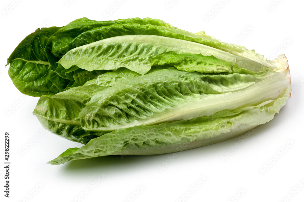 salad salad