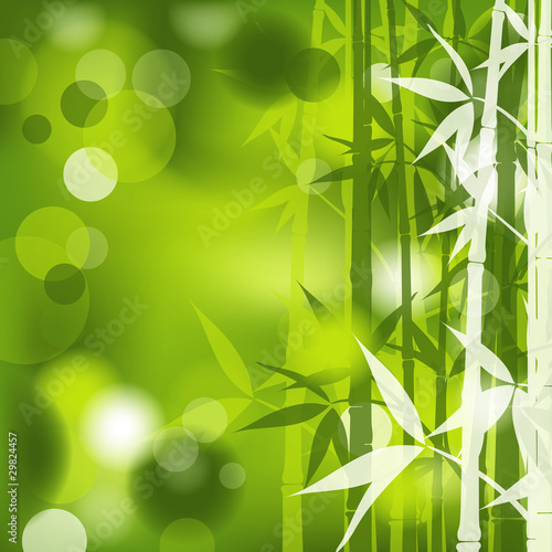 Bamboo abstract background  vector  eps10