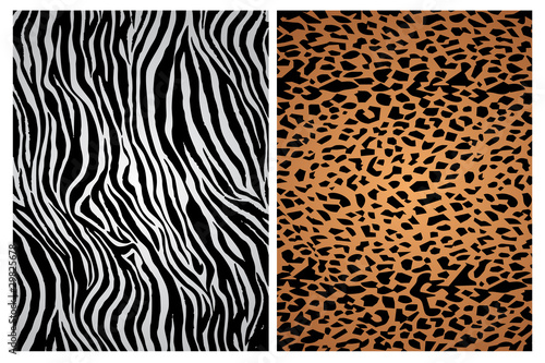 Animal Skins