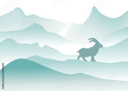 winter mountains with mountain goat