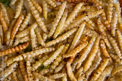 Bilde på lerret Fried worm bamboo. Close-up