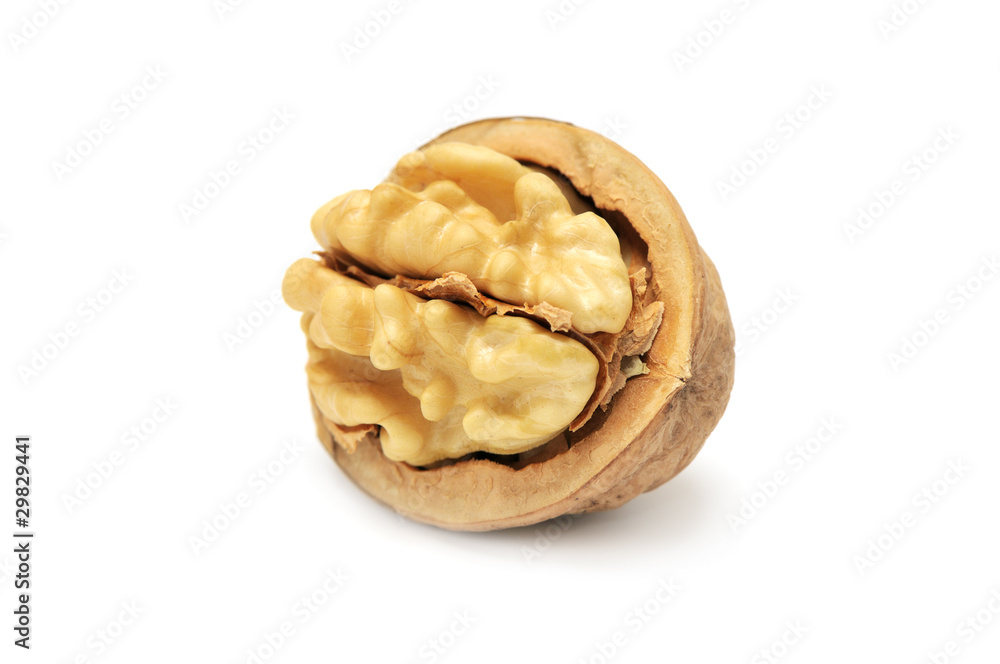 walnut walnut