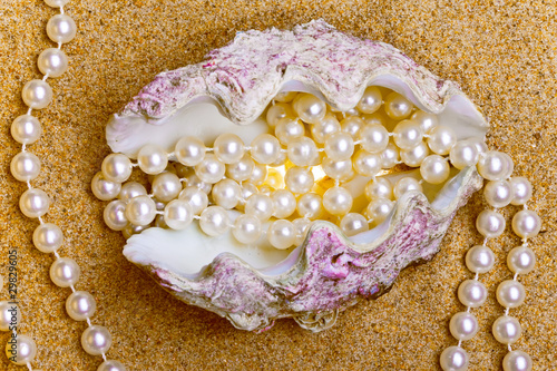 The exotic sea shell with a pearl beads lies on sand..