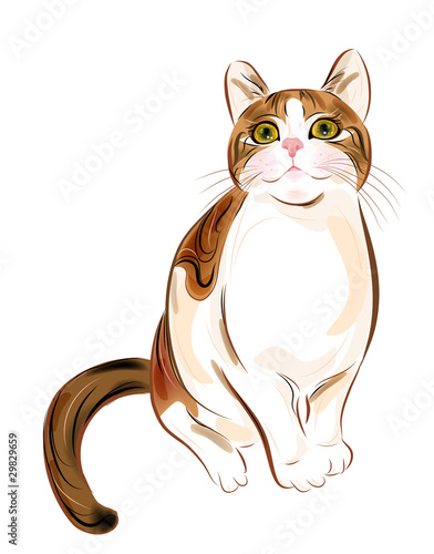 Valokuvatapetti hand drawn portrait of  ginger tabby cat
