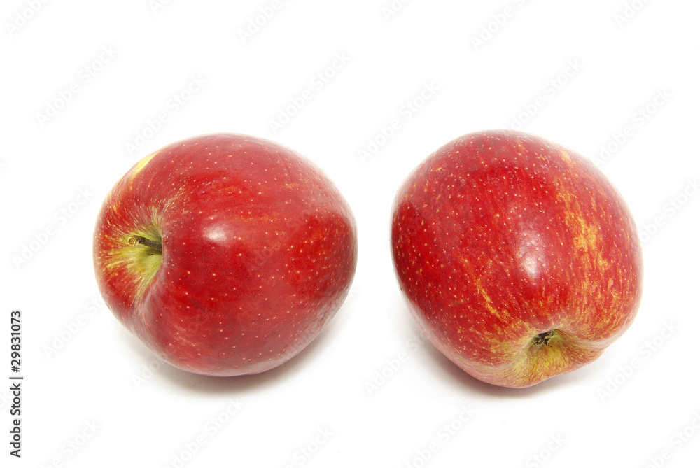 apples apples