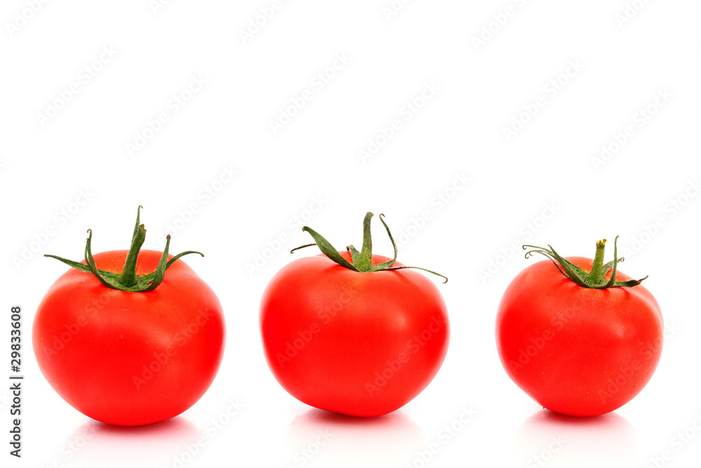 tomato pile tomato pile